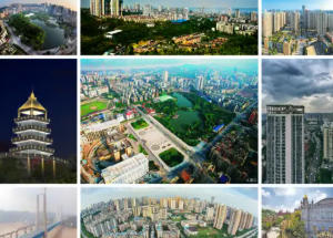 大渡口今天天氣