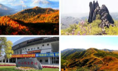 愛(ài)民今天天氣