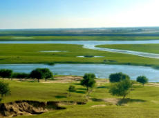 杜爾伯特今天天氣