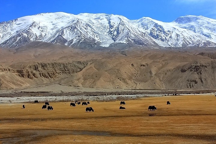 塔什庫爾干今天天氣