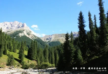 察布查爾今天天氣