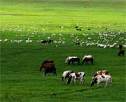 海北州今天天氣