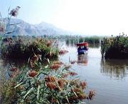 永靖天氣預(yù)報30天
