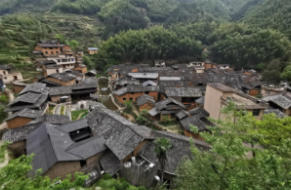 松陽天氣預(yù)報15天