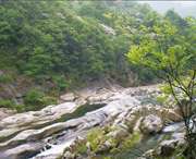 金家莊今天天氣