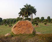 新會(huì)今天天氣