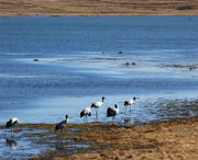 會(huì)澤今天天氣