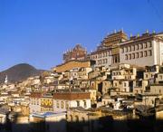 香格里拉今天天氣